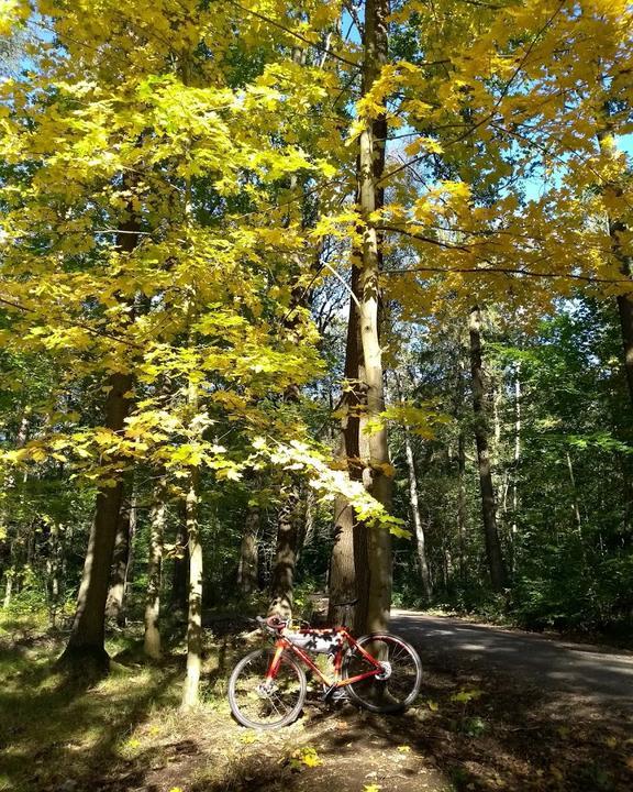 Buhlauer Waldgarten